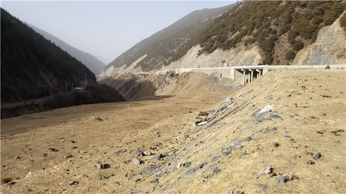 雅江县G318线八角楼乡卧龙寺植被恢复项目设计