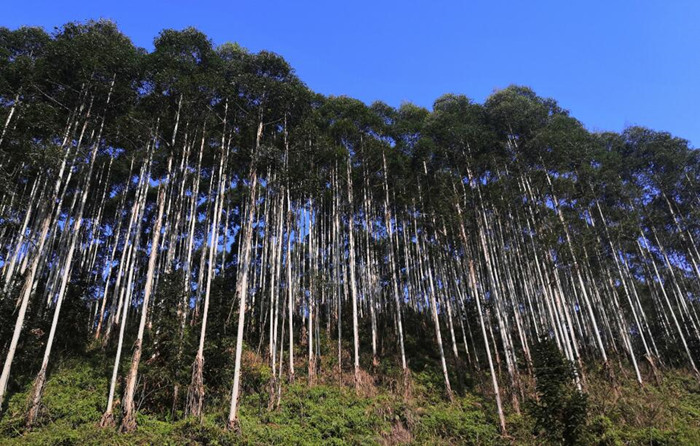 立仑基地